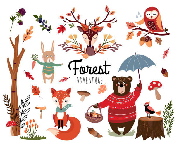 Forest elements collection with autumnal items Forest elements collection with autumnal background, hand drawn seasonal items isolated on white bear clipart stock illustrations