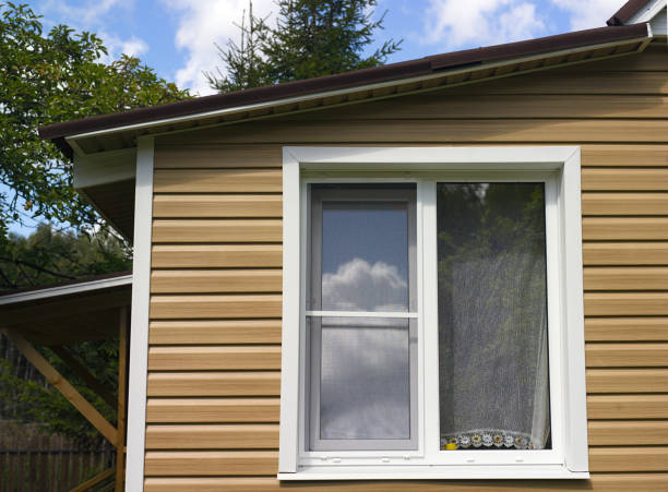 istock house with new pvc window 1019785856