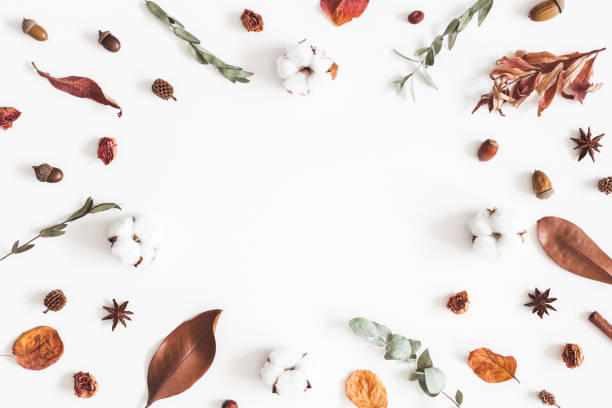 istock Autumn composition. Frame made of eucalyptus branches, cotton flowers, dried leaves on white background. Autumn, fall concept. Flat lay, top view, copy space 1019786218