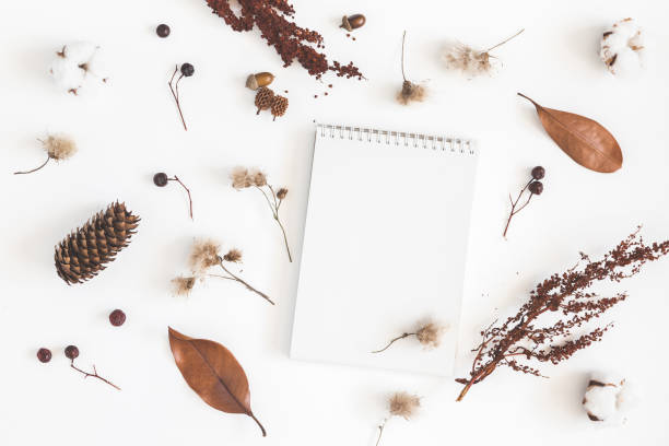 istock Autumn composition. Notebook, acorns, pine cones, dried flowers and leaves on white background. Autumn, fall concept. Flat lay, top view, copy space 1019786380