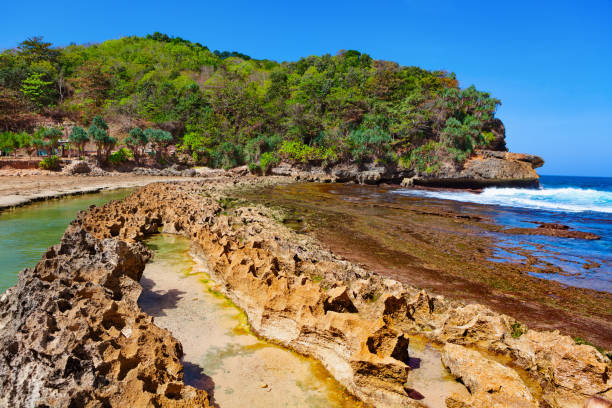 istock Beach lagoon separated from sea surf by reef barrier 1019788762