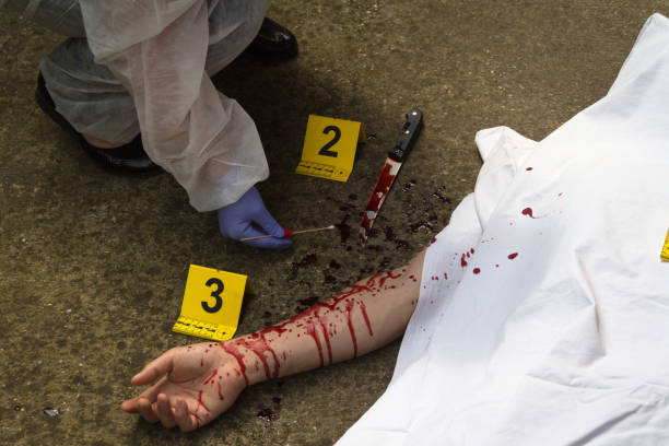 experto forense mujer recoge pruebas en la escena del crimen - blood human hand women murder fotografías e imágenes de stock