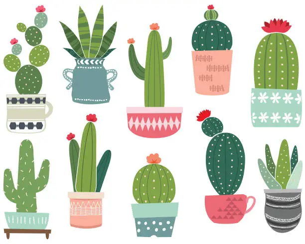 Vector illustration of Cactus Collections