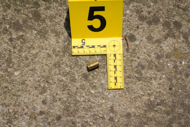 Crime scene investigation