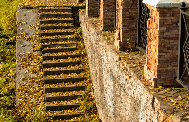 istock Stairs with stone steps with leaves in autumn 1019813646