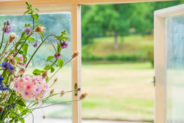 flores y ventana ven en lyme hall en peak district, cheshire, reino unido - cheshire non urban scene scenics rural scene fotografías e imágenes de stock