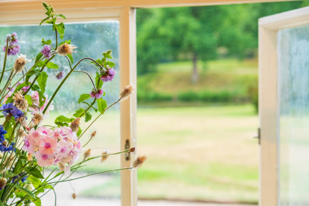 istock Flowers and window view at Lyme Hall in Peak District, Cheshire, UK 1019817054