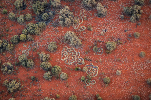 sorvolando l'outback australia, - outback foto e immagini stock