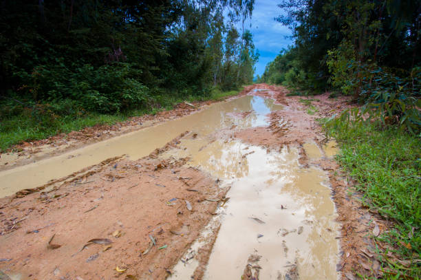 istock landscape muddy road landscape in countryside 1019829378