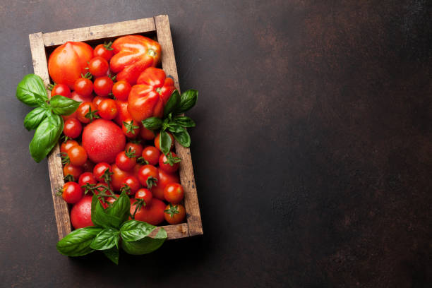 istock Fresh garden tomatoes and basil 1019832696