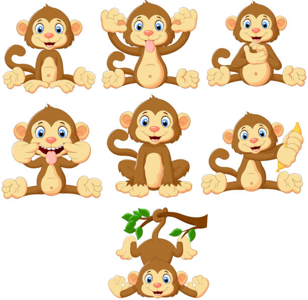 Cartoon monkeys collection set Vector illustration of Cartoon monkeys collection set monkey illustrations stock illustrations