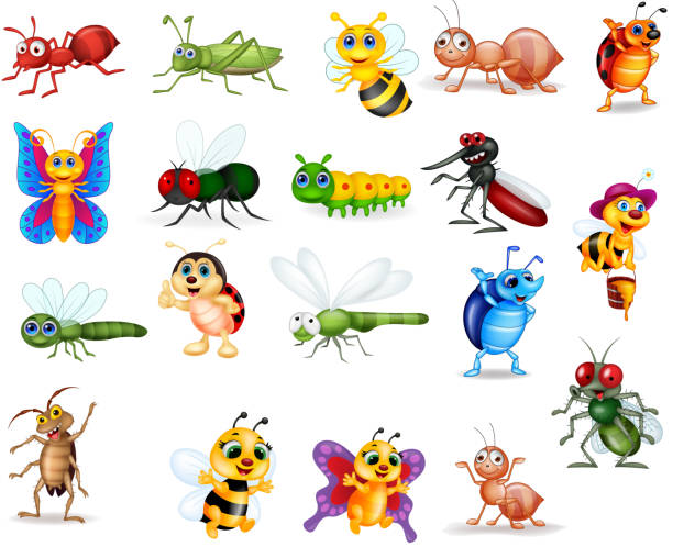 illustrazioni stock, clip art, cartoni animati e icone di tendenza di set di collezione di insetti dei cartoni animati - miele dolci