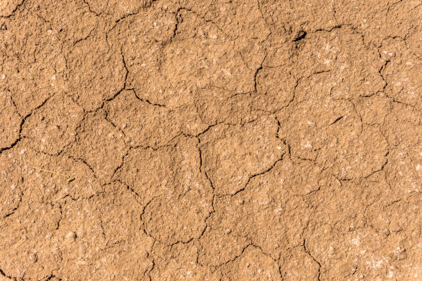 dry cracks on a sandy-silty brown soil in north germany. - sandy brown fotos imagens e fotografias de stock