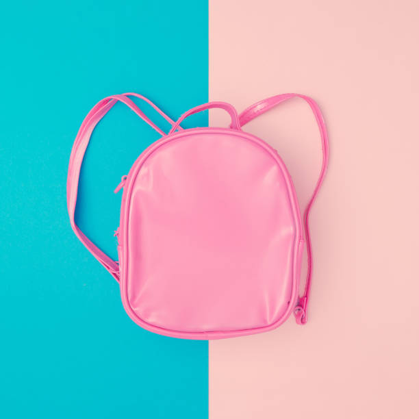 istock Pink school bag on minimal pastel pink and blue background. 1019858332