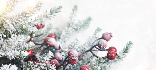 istock Christmas tree branch, holiday background 1019861954