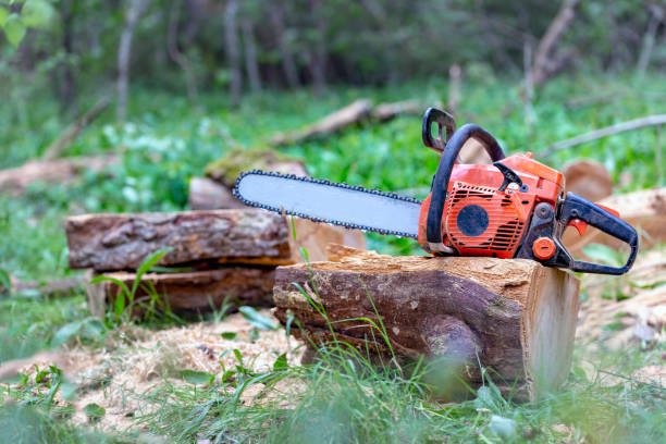istock Professional chainsaw on a sawn tree in the forest 1019862672