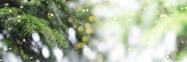istock Closeup of Christmas-tree background 1019863296