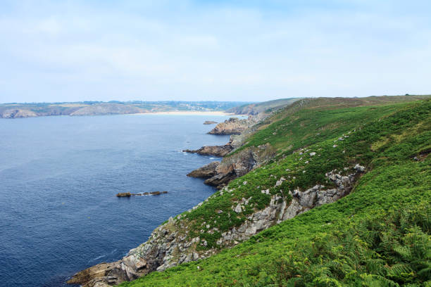 istock fern and cliff in french brittany 1019867104