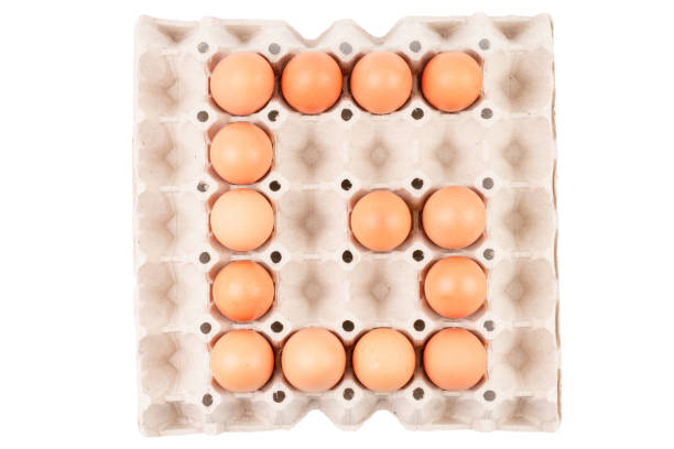 istock Raw brown Chicken Eggs In paper container tray box arranged English alphabet is 