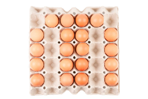 istock Raw brown Chicken Eggs In paper container tray box arranged English alphabet is 