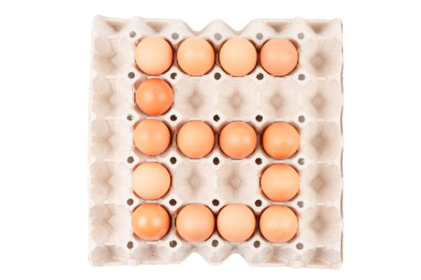 istock Raw brown Chicken Eggs In paper container tray box arranged look like Number  is 