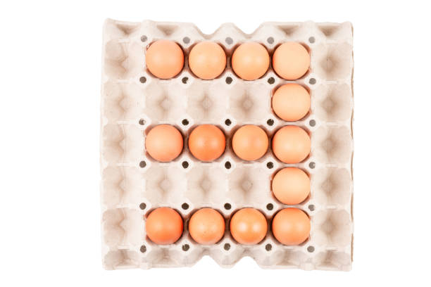 istock Raw brown Chicken Eggs In paper container tray box arranged look like Number  is 