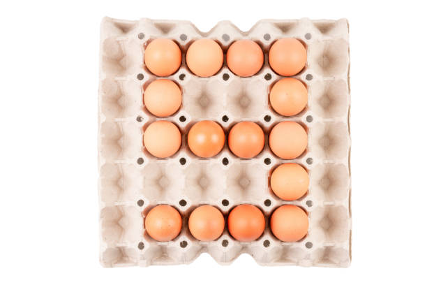 istock Raw brown Chicken Eggs In paper container tray box arranged look like Number  is 