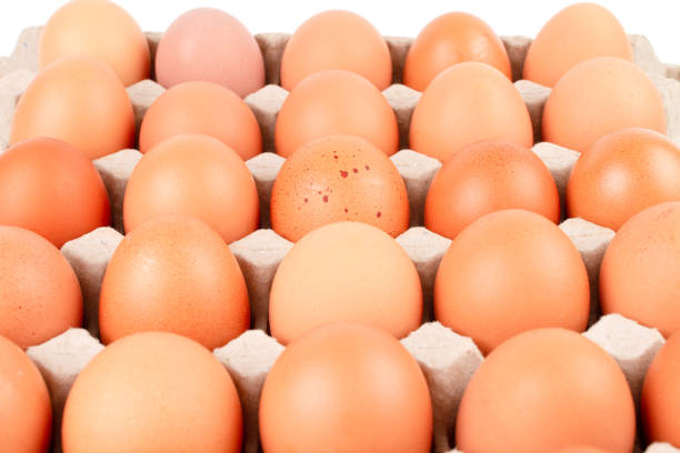 istock Raw brown Chicken Eggs In paper container tray box. 1019876238