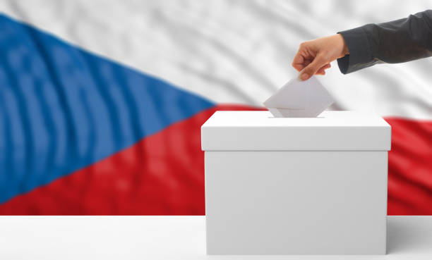 istock Voter on a Czech Republic flag background. 3d illustration 1019876400