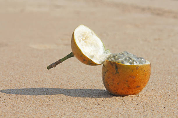 istock One orange open passion fruit with seeds. Passion fruit closeup on the beach, on the sand and on the sea. Fruits of Asia, healthy food, natural fruits. View from above. Design with copy space 1019880582