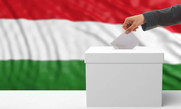 istock Voter on a Hungary flag background. 3d illustration 1019886416