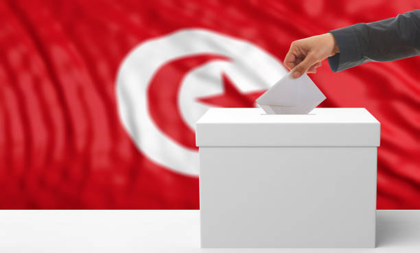 istock Voter on a Tunisia flag background. 3d illustration 1019886454