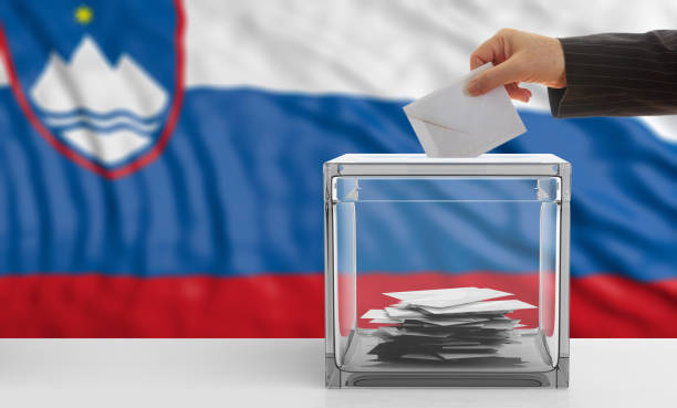 istock Voter on a Slovenia flag background. 3d illustration 1019886490
