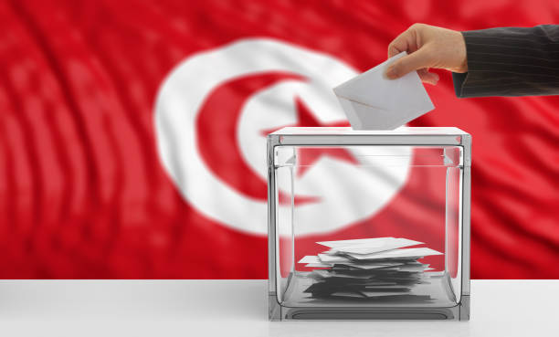istock Voter on a Tunisia flag background. 3d illustration 1019886500