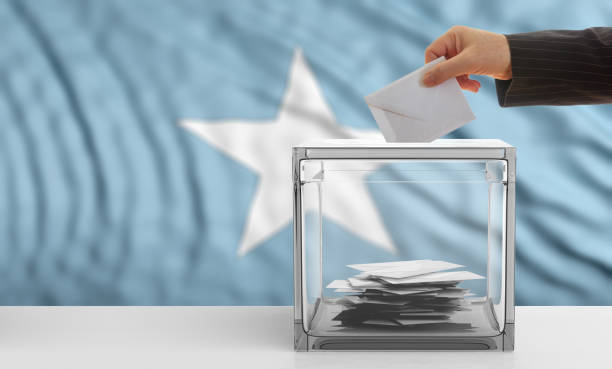 istock Voter on a Somalia flag background. 3d illustration 1019886506