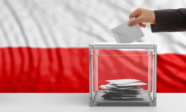 istock Voter on a Poland flag background. 3d illustration 1019886522