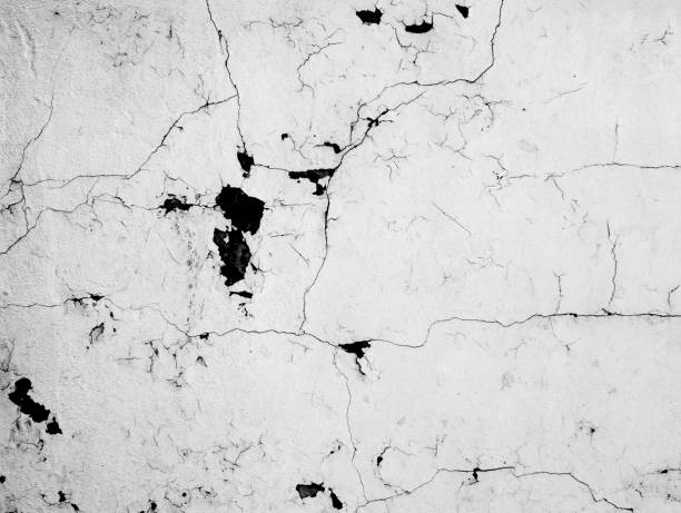 istock Peeling plaster on the wall in black and white 1019896456