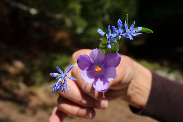 istock Wild flowers in my hand 1019896546