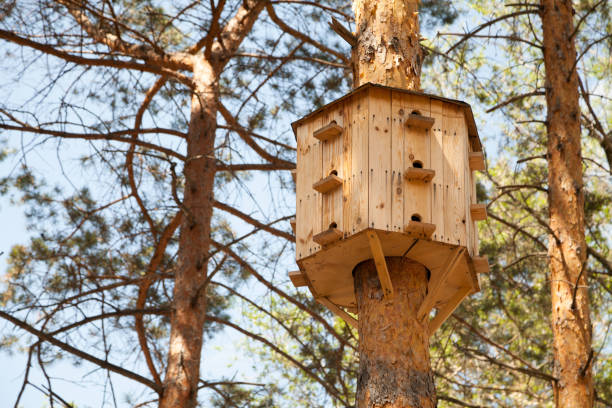 istock Big birdhouse with many windows on a tree 1019908378