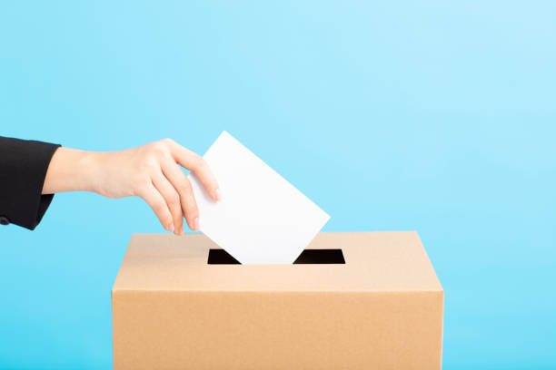 Ballot box with person casting vote on blank voting slip stock photo
