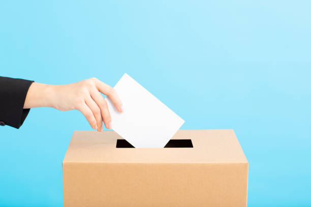 ballot box with person casting vote on blank voting slip - vote casting imagens e fotografias de stock