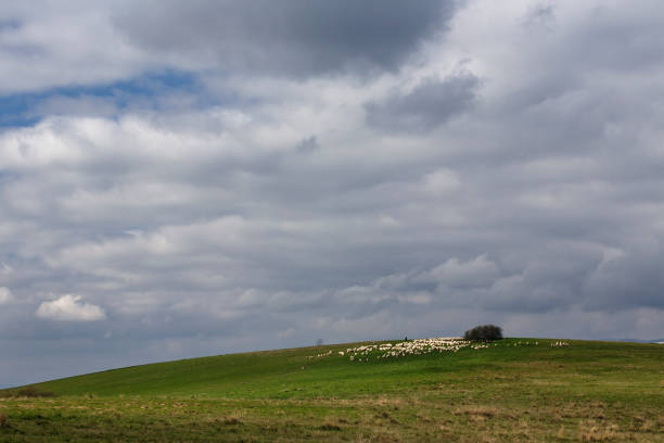 istock Beautiful scenery landscape with meadow and sky 1019917478