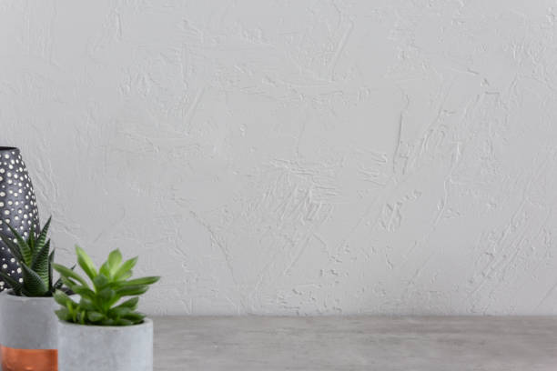 istock Copy space on grey empty wall in minimal room interior with plants. Real photo. Place for your poster 1019918588