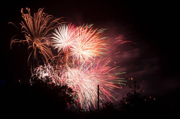 istock colorful Fireworks between trees silhouettes 1019921718