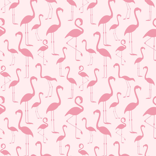 bezešvý vzor růžového plameňáka - plameňáci stock ilustrace