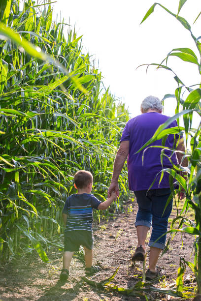 istock Toddler Boy & Grandma Walking Through Corn Maze 1019950612