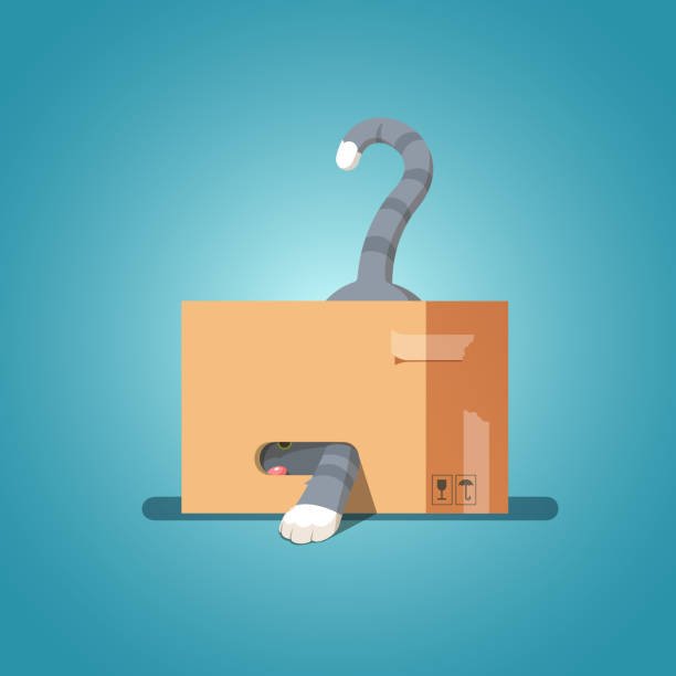 ilustrações de stock, clip art, desenhos animados e ícones de playful curious cat in a cardboard box pulled out his paw & looking out of his hiding. flat isolated vector - cat box