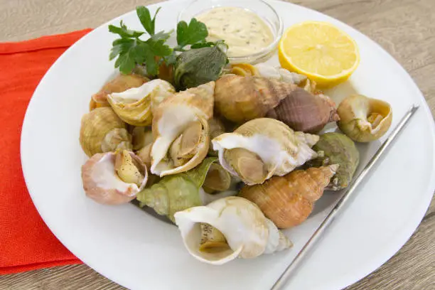 plate of bulots with mayonnaise