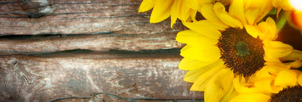 istock Autumn background with sunflowers on wooden board 1019976000