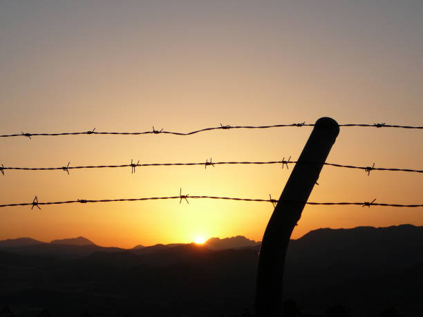 istock Barbed wire at dawn in Andalusian countryside 1019983492